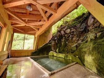 二岐温泉 柏屋旅館/*【自噴巌風呂/混浴】1890年代には既にあったと伝えられる。古から続く源泉に癒されるひと時を。