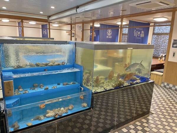 【食事処（水槽）】海水の水槽から旬の新鮮魚介をご提供
