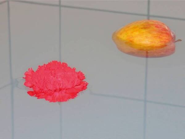 【ある日の内湯/例】貸切風呂として利用可能!(チェックイン時要申込)