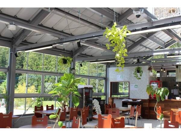 姉妹館ホテルカジュアルユーロ敷地内のフードホール『the GREEN TERRACE NIKKO』にて利用出来る2,500円分付のお食事券付♪(写真はフードホール一例)