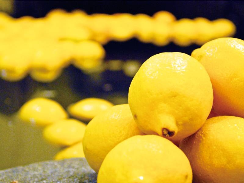【檸檬風呂】こぢんまりとした湯船に１６０個のレモンが浮かぶユニークな『檸檬風呂』