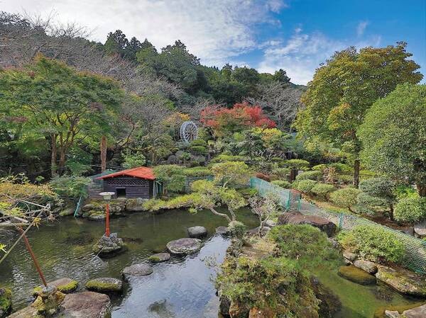 一の瀬 ストア 裾野 浴衣