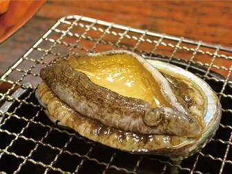 料理が美味しい 食事が豪華 口コミ高評価の温泉旅館 宿 西伊豆 21年最新 ゆこゆこ