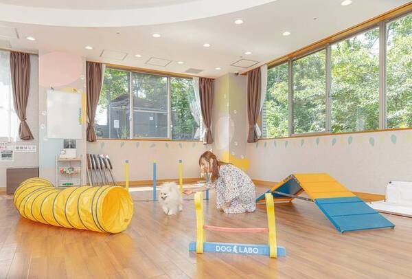 【室内ドックラン】雨の日でも安心して愛犬と遊べる