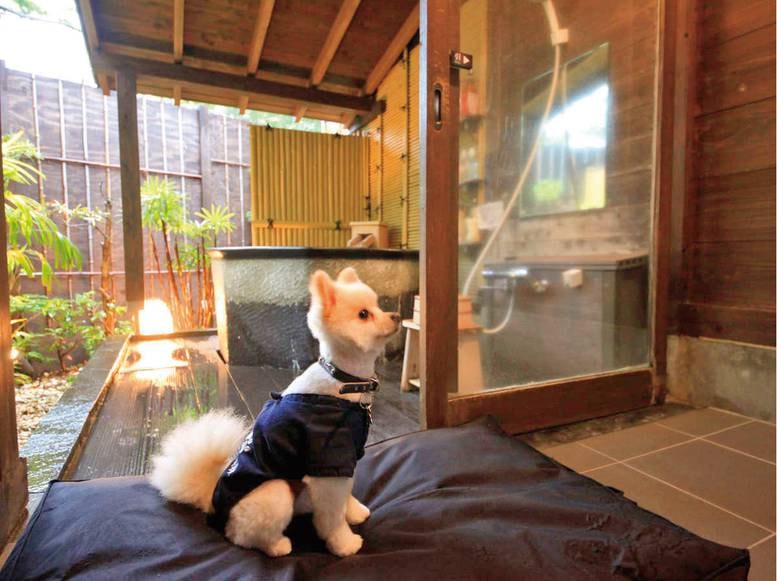 貸切露天風呂は入り口まではワンちゃんも一緒に入ることが可能