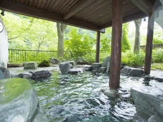風木立の川辺　紫明館