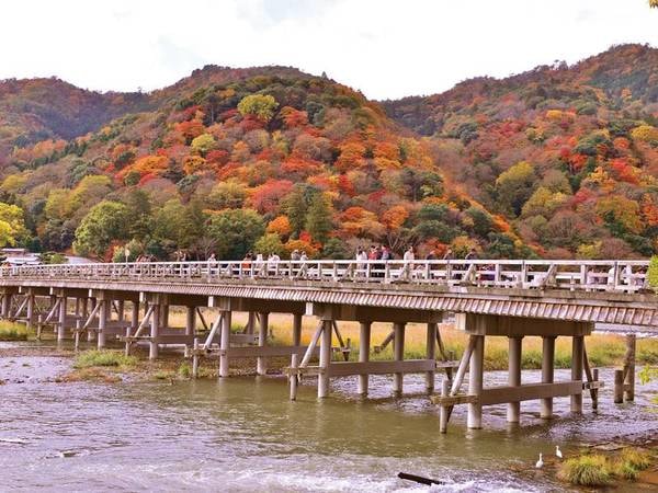 【渡月橋と嵐山】嵐山の紅葉は例年11月後半が見ごろ