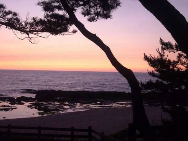 琴引浜から朝日を眺む 鳴き砂温泉 御宿矢吉の宿泊予約 人気プランtop3 ゆこゆこ