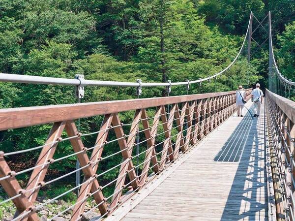 大江戸温泉物語 塩原温泉 かもしか荘の宿泊予約 人気プランtop3 ゆこゆこ