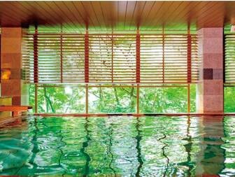 大江戸温泉物語Premium 鬼怒川観光ホテル/霧降(きりふり)の湯「華厳の湯」/お肌に優しい柔らかなお湯と鬼怒川のせせらぎで、至福のひとときを。