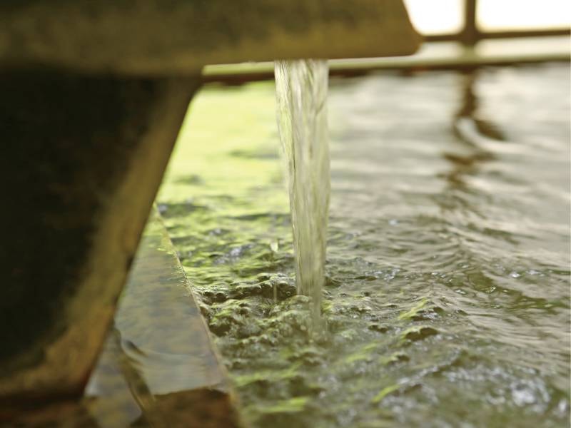 【温泉】信州最古といわれる良質な温泉をお楽しみください