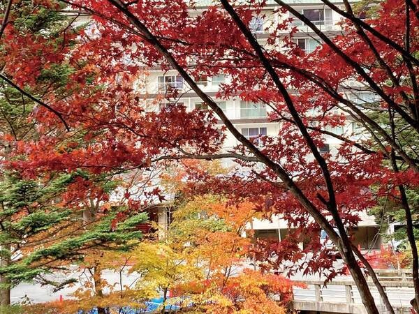 【外観(紅葉)/例】客室の窓からも望める紅葉は例年10月中旬～11月初旬が見頃