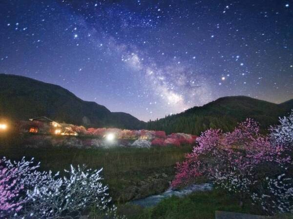 花桃と星空(花桃の見頃は例年4月中旬~下旬)