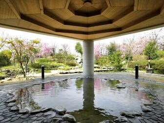 ホテル ざぶ~ん/【観音の湯】地下1,100mより湧くにごり湯