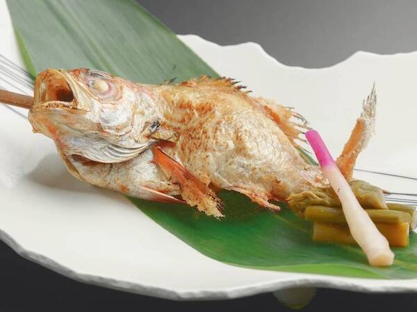 【冬/四季の彩り厳選料理プラン】日本海のどぐろ塩焼き ※季節により変更有