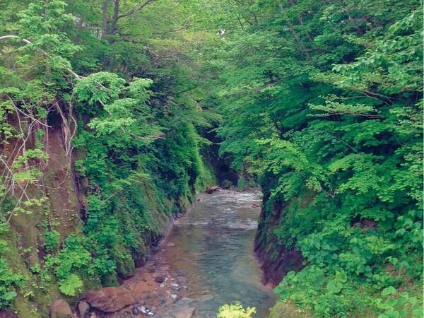 【周辺情報】登別川のせせらぎを感じる