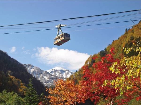 【周辺情報/黒岳ロープウェー】9月中旬頃より、「日本一早い紅葉」が楽しめる！