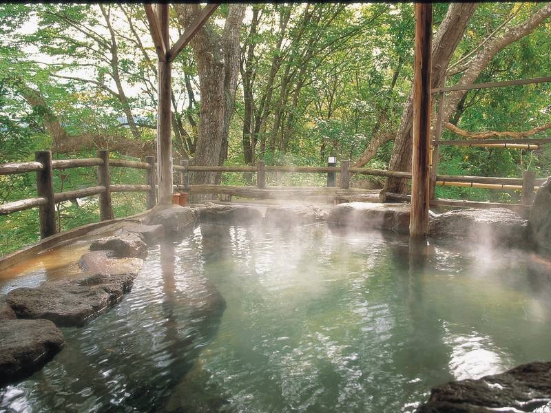 【水芭蕉の湯】四季折々の自然を眺めながら、ご入浴いただけます。