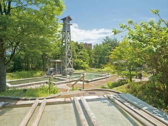 辰口温泉 たがわ龍泉閣/【混浴露天風呂/田んぼの湯】開放感たっぷりの大露天風呂。入浴着もあるので女性も安心して家族やカップルで愉しめる