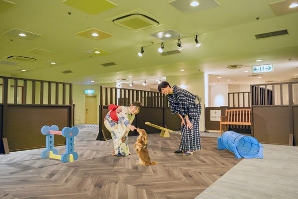 雨の日でも安心の屋内ドッグラン＆Caféスペース