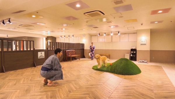 ドッグラン