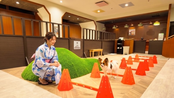 ドッグラン