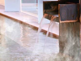 大江戸温泉物語 ながやま/ナトリウム・カルシウム塩化物泉