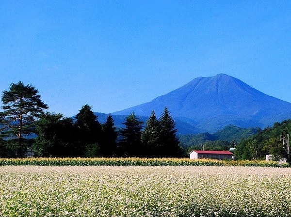【そば畑/例】全国でも極めて珍しい在来種のお蕎麦「火畑そば」を主役に据えた会席をご用意