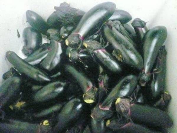 自家製野菜