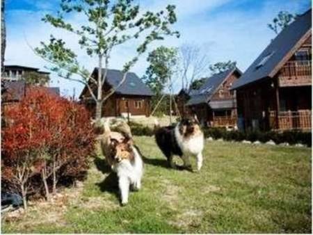 ペットコテージ(近くにはドッグランあり)/一例