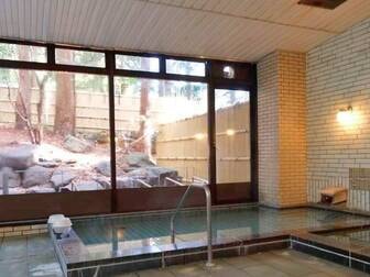 日光温泉 ホテル清晃苑/婦人大浴場「竜頭の湯」