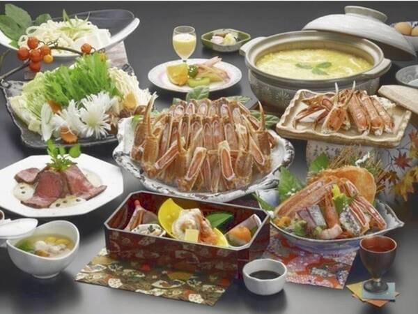 2025年冬のコウノトリ/3名盛りの一例