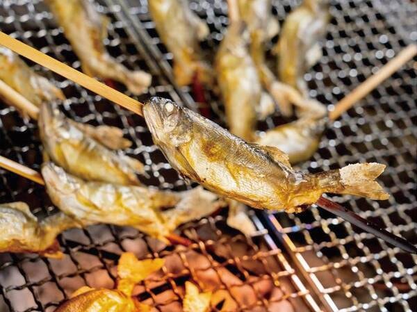 夕食バイキングでは鮎の塩焼きも食べ放題/例