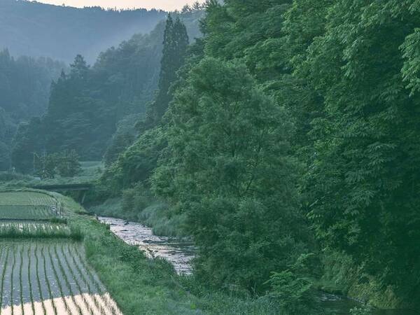 水田と天竜川