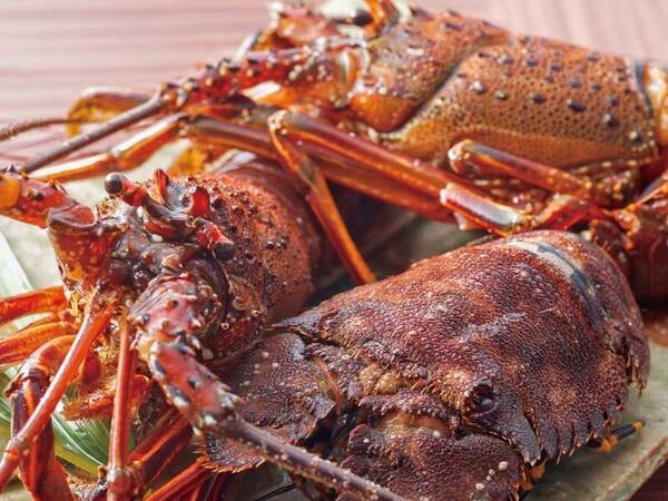 【夕食一例】料理長厳選の高級食材を使った会席料理をお楽しみ下さい。