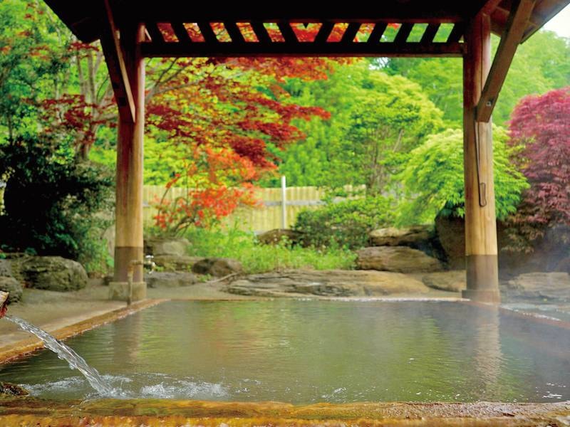 【混浴露天風呂（下の湯）】北海道最古の開湯約800年。湯量も豊富です。