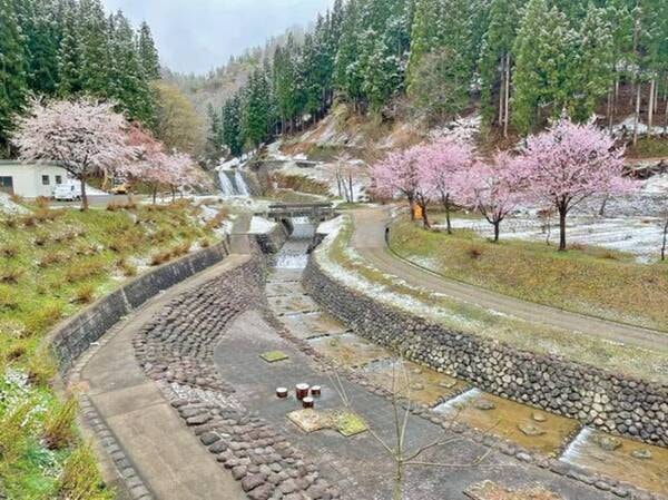 宿周辺は自然いっぱい