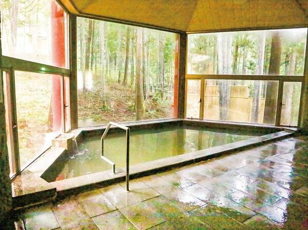 【大浴場】木もれび