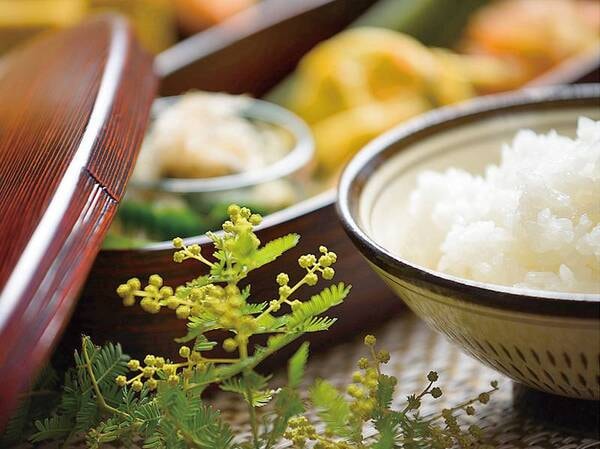 朝食/例