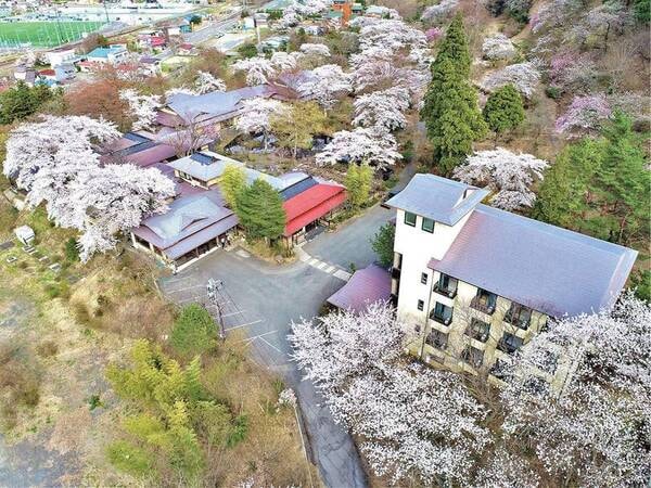 満開の桜 空撮