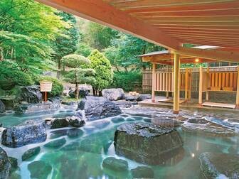 雨情の宿 新つた/【庭園露天風呂「竹林」(混浴※女性専用時間有)】