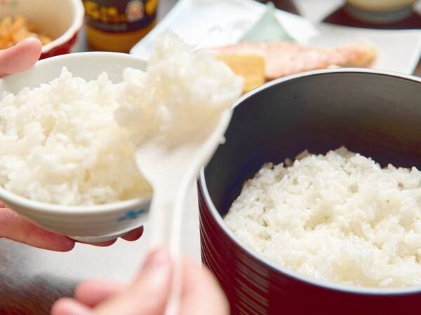 北竜産のご飯はお米の一粒一粒が大きく、ふんわりと炊き上げています