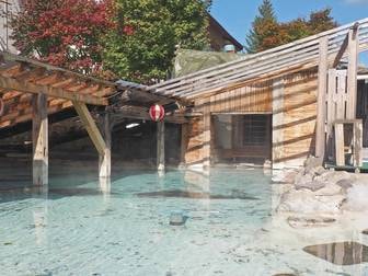 北海道の温泉旅館 厳選宿 22年 ゆこゆこ