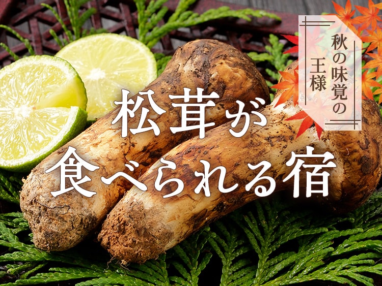 松茸が食べられる!松茸料理が自慢の温泉旅館・宿