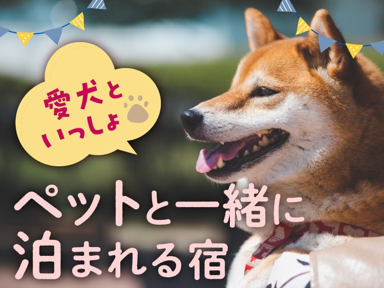 ワンちゃんと一緒!ペットと一緒に泊まれる温泉旅館・ホテル・宿