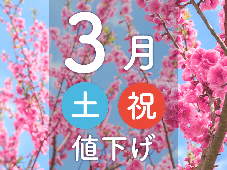 3月土曜祝日値下げの宿