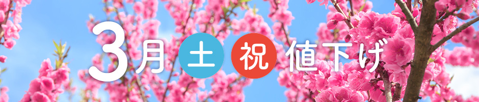 3月土曜祝日値下げの宿